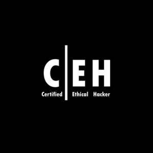 ethical hacking certified course