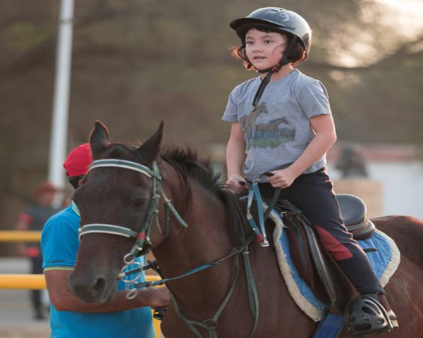 cheap horse riding lessons in dubai