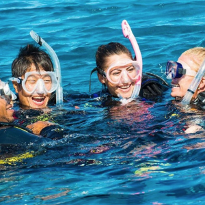 discover scuba diving fujairah