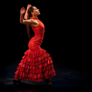 flamenco-dance-beginners