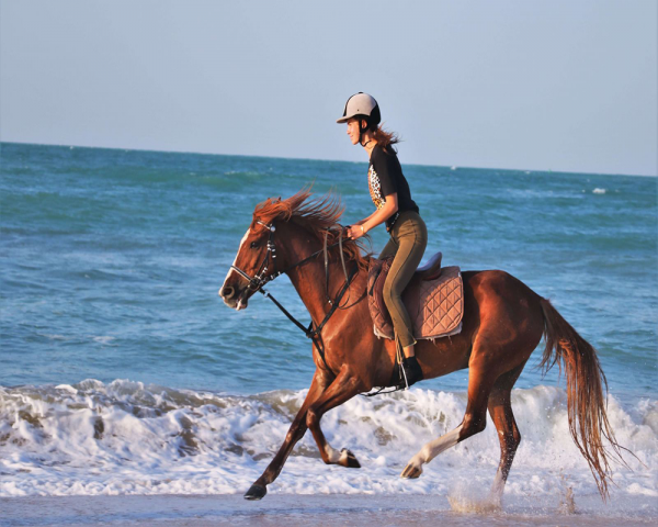 horse riding in dubai beach