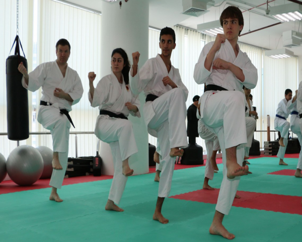 martial arts physical training