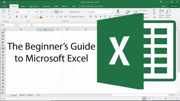 ms excel basic course