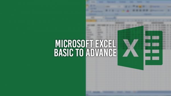 ms excel basic to advanced course