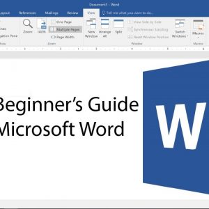 ms word basic course
