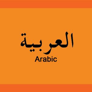 learn the arabic language
