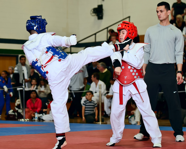 taekwondo classes