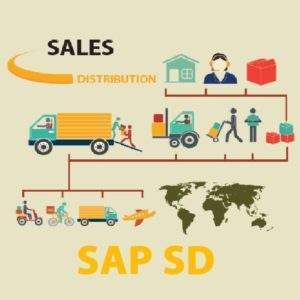 sap sales and distribution classes in Dubai