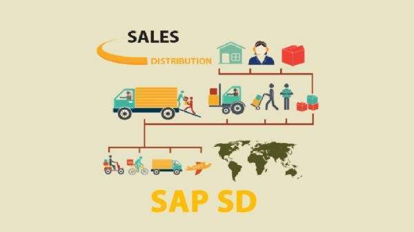 sap sales and distribution classes in Dubai